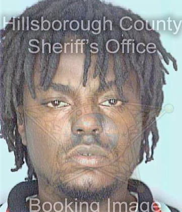 Mckelvin Demond - Hillsborough County, FL 