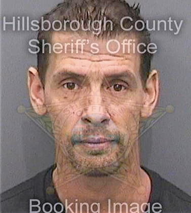 Decicco Jason - Hillsborough County, FL 