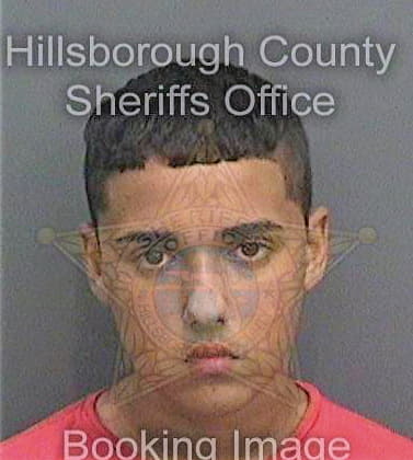 Feijoo Austin - Hillsborough County, FL 