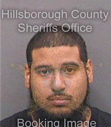 Reyes Isidro - Hillsborough County, FL 