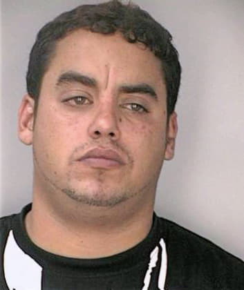 Bonomo Joseph - Hillsborough County, FL 