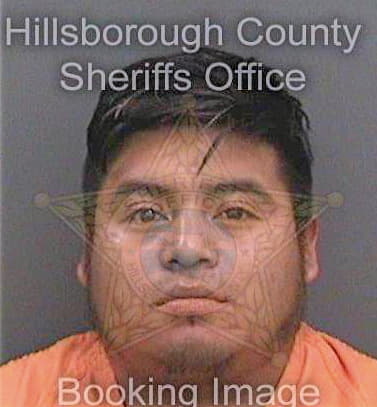 Mendezruiz Juan - Hillsborough County, FL 