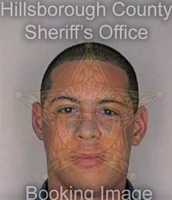 Smiley William - Hillsborough County, FL 