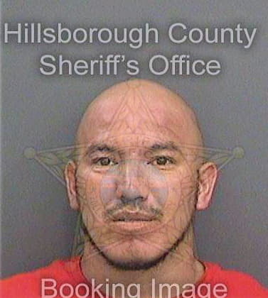 Hernandez Victor - Hillsborough County, FL 