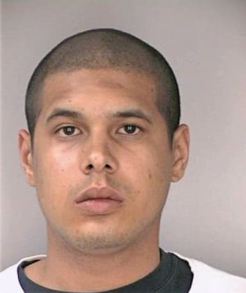 Smith Anthony - Hillsborough County, FL 