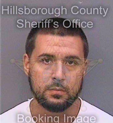 Connick Raymond - Hillsborough County, FL 