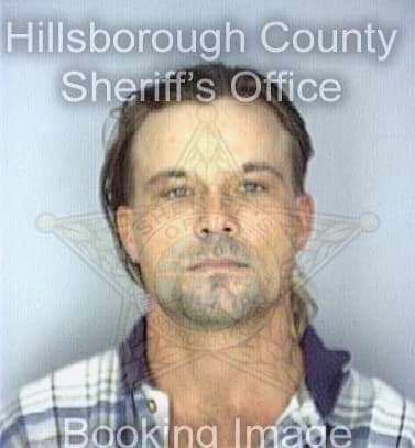 Ellison David - Hillsborough County, FL 