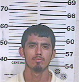 Hernandez Heriberto - Hidalgo County, TX 