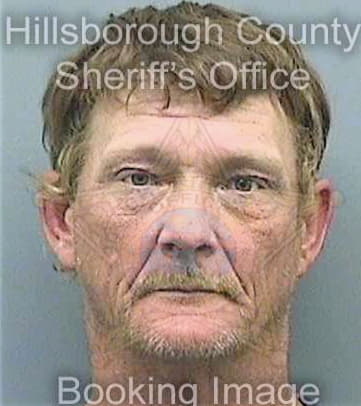 Parsons George - Hillsborough County, FL 