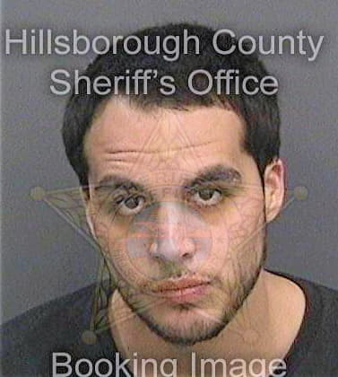 Mendez Jordan - Hillsborough County, FL 