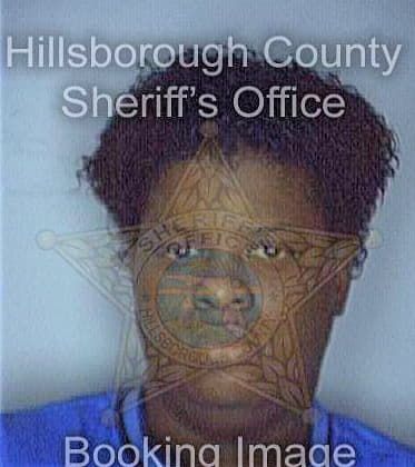 Johnson Bridgette - Hillsborough County, FL 