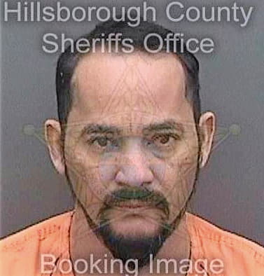 Escobarborja Oscar - Hillsborough County, FL 