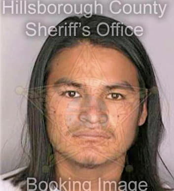 Mendozaortiz Ascencion - Hillsborough County, FL 
