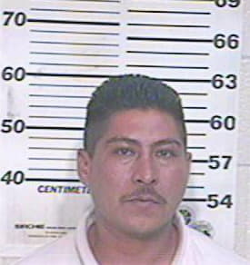 Araujo Moises - Hidalgo County, TX 