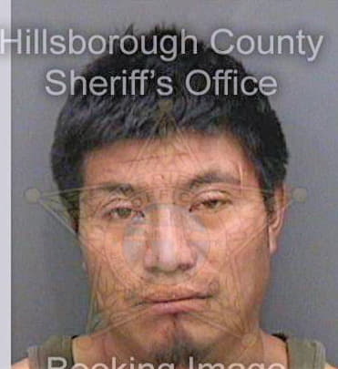 Vasquez Cesar - Hillsborough County, FL 