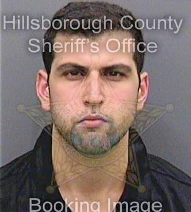 Hamideh Yahia - Hillsborough County, FL 