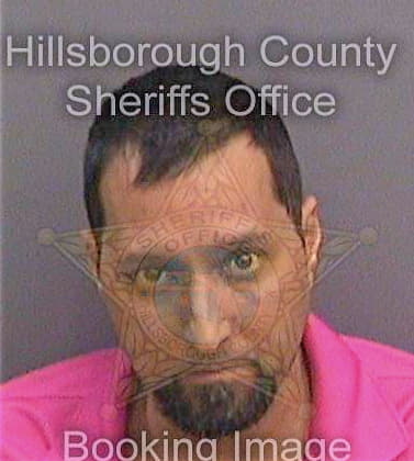 Mcglothlin Christopher - Hillsborough County, FL 