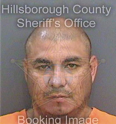 Conde David - Hillsborough County, FL 