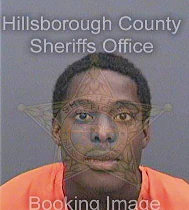 Davis Jeffery - Hillsborough County, FL 