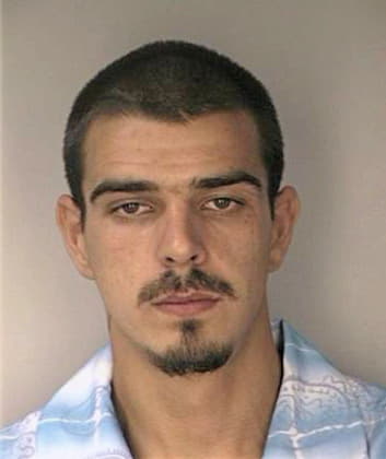 Messamore Jeffery - Hillsborough County, FL 