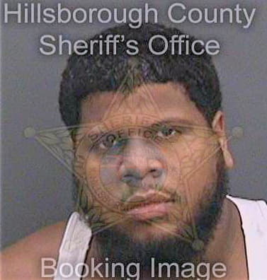 Pena Sergio - Hillsborough County, FL 