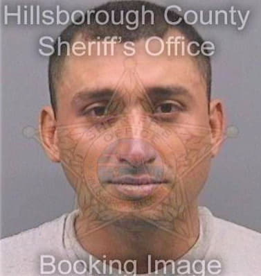 Caraballoostolaza Kelvin - Hillsborough County, FL 