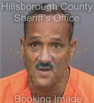 Lespier George - Hillsborough County, FL 