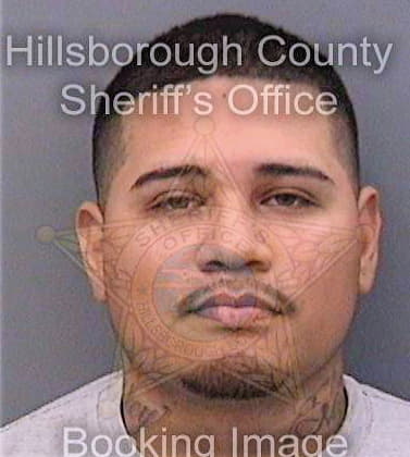 Chavez Richard - Hillsborough County, FL 