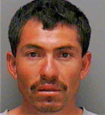 Gomez Miguel - Lee County, FL 