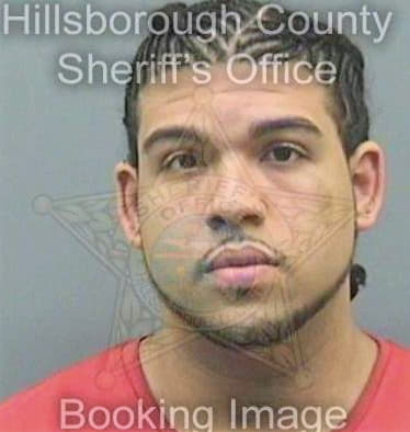 Lugo Carlos - Hillsborough County, FL 