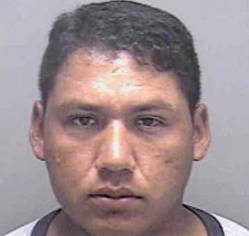 Perez Fermin - Lee County, FL 