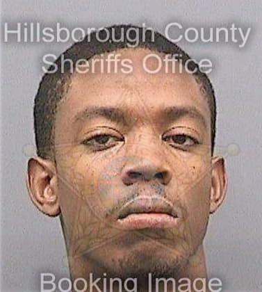 Dantzler Linwood - Hillsborough County, FL 