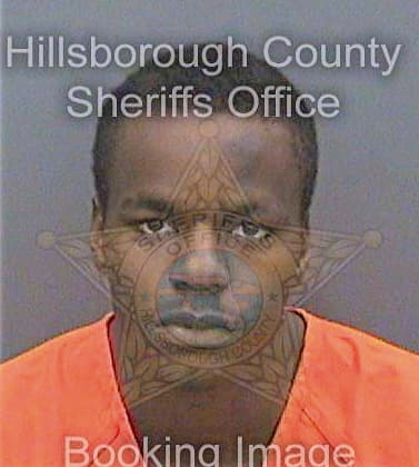 Mcintosh Nicholas - Hillsborough County, FL 