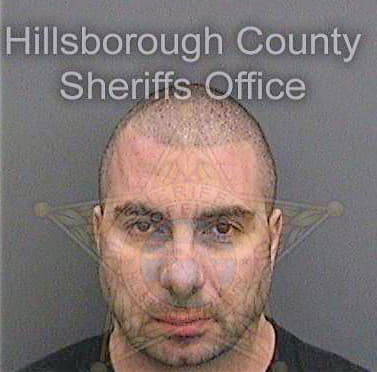 Georgiev Dimitar - Hillsborough County, FL 