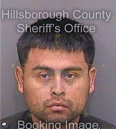 Velascoarcos Juan - Hillsborough County, FL 