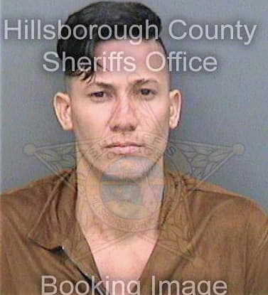 Baladronjimenez Michael - Hillsborough County, FL 