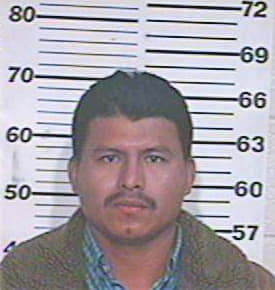 Hernandez Baudel - Hidalgo County, TX 