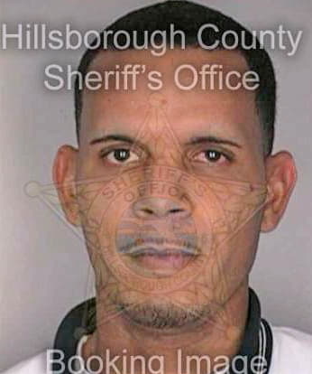 Melendez Edgar - Hillsborough County, FL 
