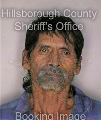 Merino Agustin - Hillsborough County, FL 