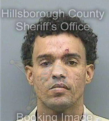 Tracy Ryan - Hillsborough County, FL 