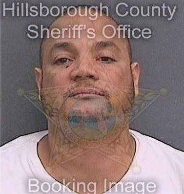 Perezwever Edward - Hillsborough County, FL 