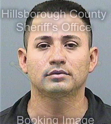 Gomez Luis - Hillsborough County, FL 