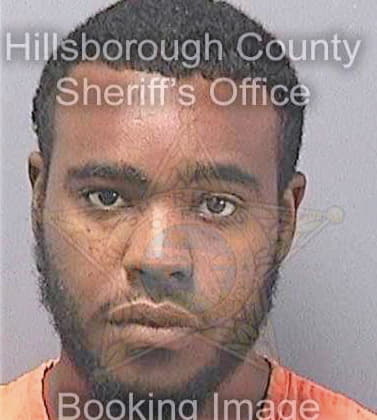 Sinisterra Louis - Hillsborough County, FL 