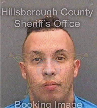 Barrios Sergio - Hillsborough County, FL 