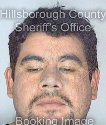 Juarez Victor - Hillsborough County, FL 