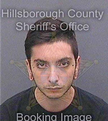 Vaughan Matthew - Hillsborough County, FL 