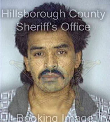 Ramirez Luis - Hillsborough County, FL 