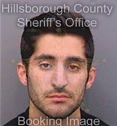 Testa Michael - Hillsborough County, FL 