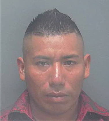 Solis Carlos - Lee County, FL 