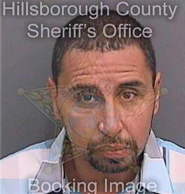 Gonzalez Luis - Hillsborough County, FL 